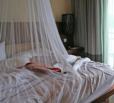EMF Bed Canopy Wi-Fi Shielding Dome Canopy Review