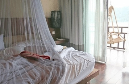 Dream Canopy RF Shielding Canopy Review